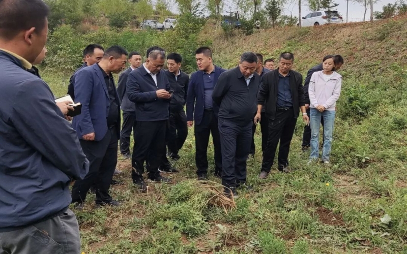 天水市政協(xié)副主席、清水縣委書記馬越垠到“榮程百草莊園”中藥材試驗(yàn)基地調(diào)研中草藥產(chǎn)業(yè)發(fā)展工作